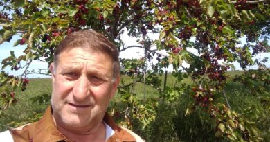 Alberto Arozarena: una vida color marrón